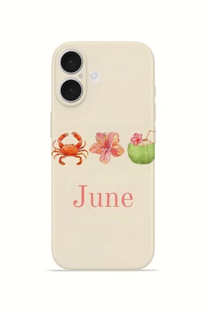 iPhone 16 Plus Vorian İnce Kamera Korumalı Mika Kılıf June Seaside
