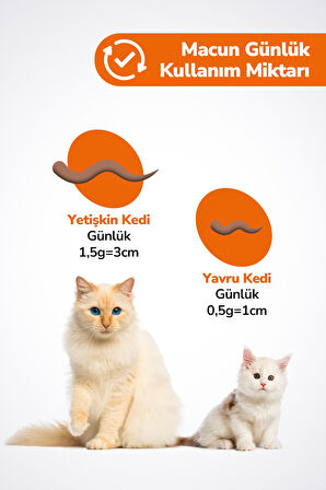Kedi Multivitamin Malt Macunu - Taurinli Biyotin Kedi Maltı Tüy Yumak Önleyici Anti-hairball 2X100gr