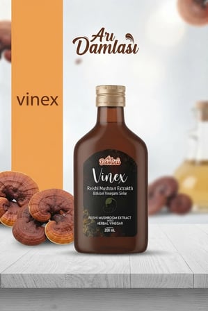 İkili Set Doğal Fermente Reishi Mantarı Ekstraktlı  2 x 200 ml | Avantajlı Ekonomik Fermente Sirke Paketi