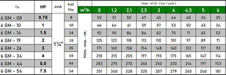 6 GM - 08 0.75 HP Motora Paslanmaz Çelik Başlıklı Norly Fanlı KUM Savaşcısı 4" Dalgıç Pompa Kademesi