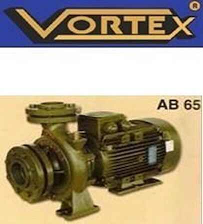 H65-55 5.5 HP 380v Yatay Monoblok Santrifüj Pompa