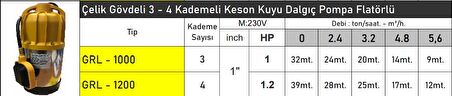 GRL1200 1.2 HP Çelik Gövdeli Flatörlü 4 Kademeli Keson Kuyu Dalgıç Pompa