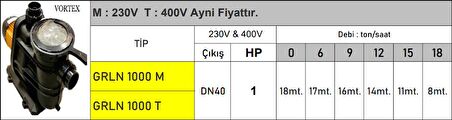 GRLN3000 3 HP 220v Ön Filtresi Büyük Havuz Pompaları - Süper Sessiz