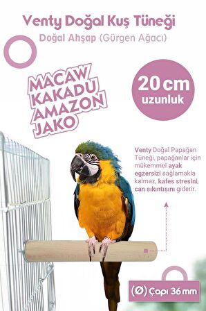 Vixpet Venty Doğal Papağan Tüneği 36 mm 4'lü / Macaw, Kakadu, Jako, Amazon Vb.