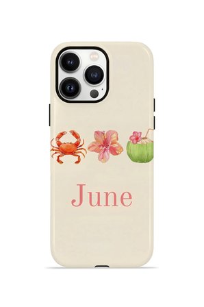 iPhone 14 Pro Vorian Çift Katmanlı Kılıf June Seaside