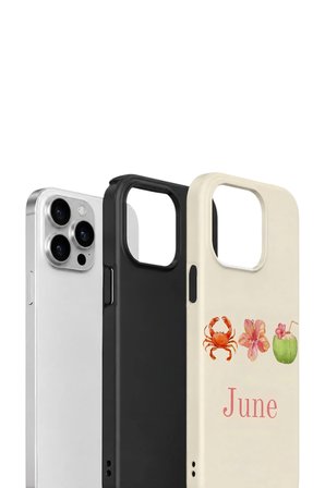 iPhone 14 Pro Vorian Çift Katmanlı Kılıf June Seaside