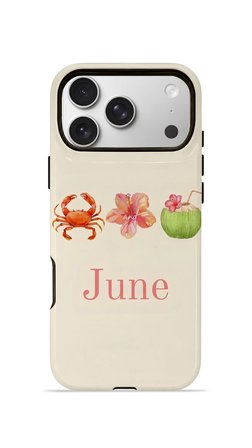 iPhone 17 Pro Vorian Çift Katmanlı Kılıf June Seaside