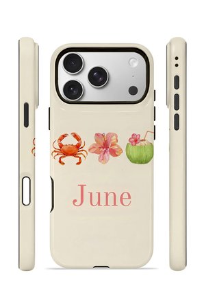 iPhone 17 Pro Vorian Çift Katmanlı Kılıf June Seaside