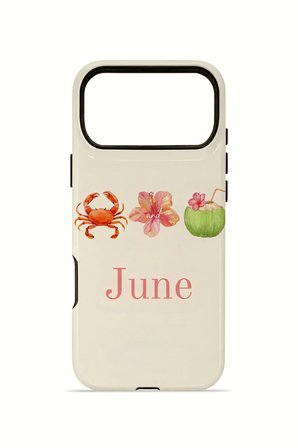 iPhone 17 Pro Vorian Çift Katmanlı Kılıf June Seaside