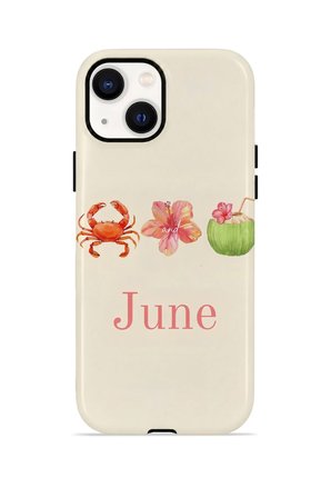 iPhone 15 Plus Vorian Çift Katmanlı Kılıf June Seaside