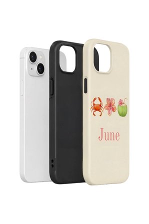 iPhone 15 Plus Vorian Çift Katmanlı Kılıf June Seaside