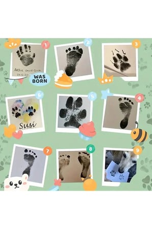 Patibon Kedi Ve Köpek Pati İzi Fotoğraf Çerçevesi Seti