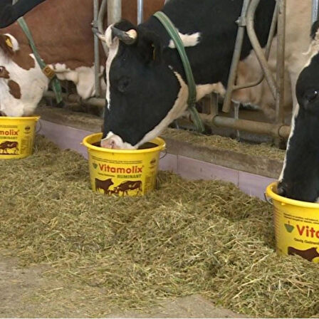 Vitamolix Ruminant 7,5 kg