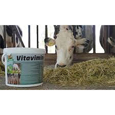 Vitamel Vitavimin Mılk Sağmal Inekler Için Yem Katkı Maddesi