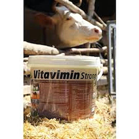 Vitamel -Vitavimin Strong Besi Hayvanlarına Özel Premix