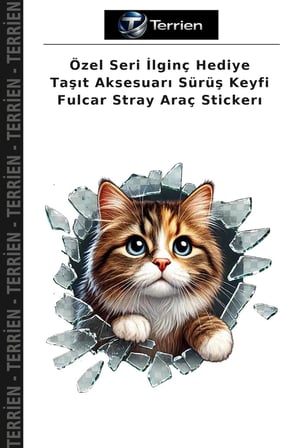 Özel Seri İlginç Hediye Taşıt Aksesuarı Sürüş Keyfi Fulcar Stray Araç Stickerı