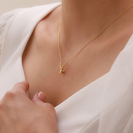 Vaoov 925 Ayar Gümüş Üç Boyutlu Oğlak Burcu Kolye