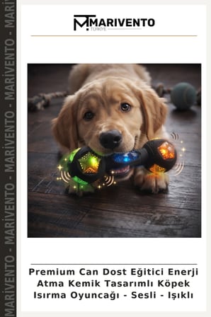 Premium Can Dost Eğitici Enerji Atma Kemik Tasarımlı Köpek Isırma Oyuncağı - Sesli - Işıklı
