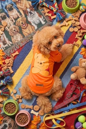 Köpek Tişörtü, Pamuklu Penye Kumaş, Küçük ve Orta Irklar İçin İdeal Winnie Baskılı Köpek Tişörtü