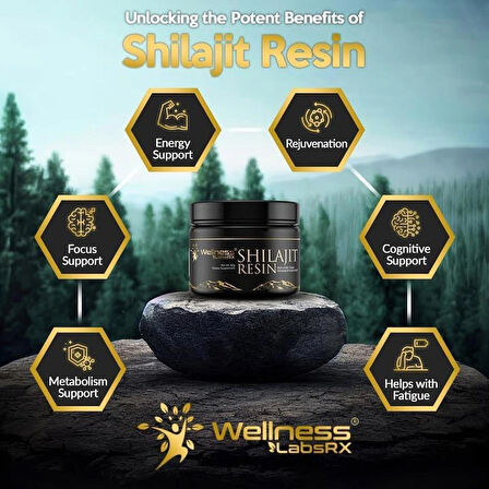 Wellness Labs Himalayan Shilajit for Men Resin with Fulvic Acid and Trace Minerals Immune Support 120 Servis