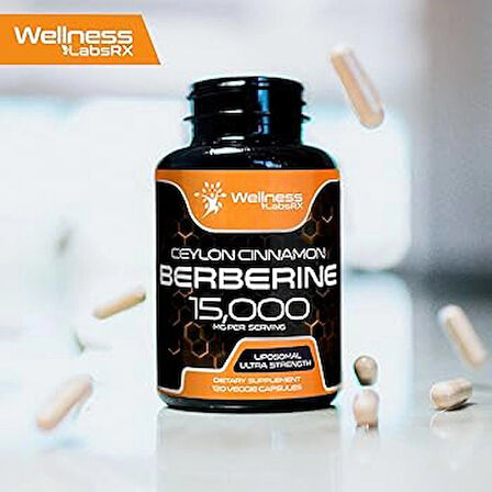 WellneesLabs Liposomal Berberine + Ceylon Cinnamon+Turmeric + Ginseng + Ginkgo biloba 15,000mg – 120