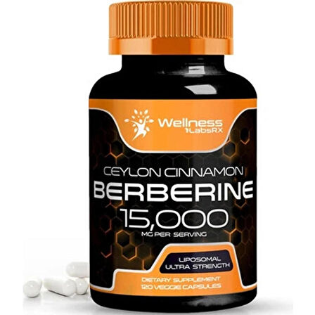 WellneesLabs Liposomal Berberine + Ceylon Cinnamon+Turmeric + Ginseng + Ginkgo biloba 15,000mg – 120