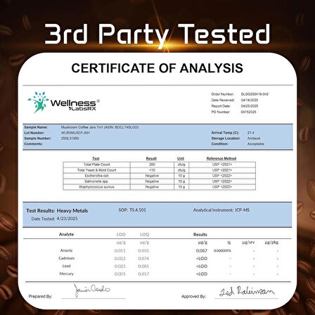 Wellness Labs Mushroom Coffee Lions Mane, Chaga, Reishi, Cordyceps, Maitake, Shiitake, and Turkey Tail 90 Servings