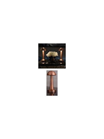 CT-8430 Lızbon Dokunmatik Masa Lambası 3 Renk Bronz