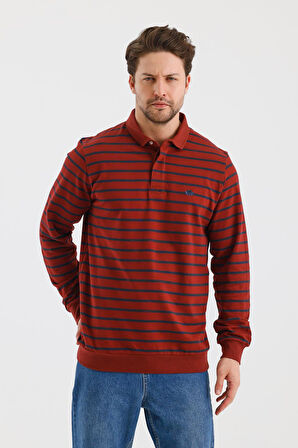 ALEXANDERGARDI POLO YAKA ÇİZGİLİ REGULAR FİT SWEATSHIRT (WK25386)