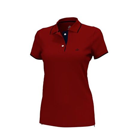 Polo Yaka Çizgili Pamuklu  Kadın  T-shirt Bordo-XXL