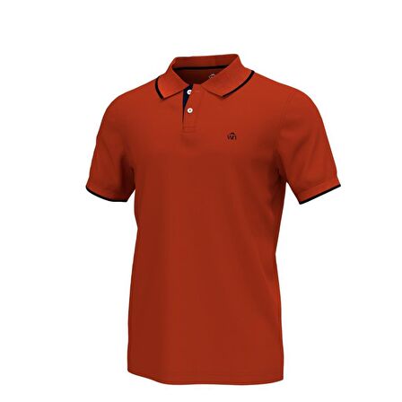Polo Yaka Çizgili Pamuklu Erkek T-shirt Kiremit-XL