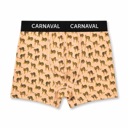 Carnaval Wild Orbit Erkek Boxer 3’lü Set