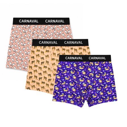 Carnaval Wild Orbit Erkek Boxer 3’lü Set
