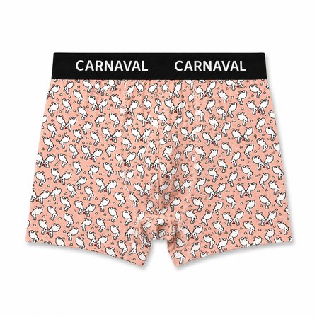 Carnaval Wild Orbit Erkek Boxer 3’lü Set