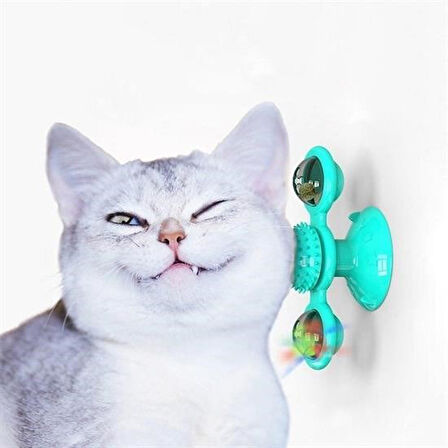 Woody Sofia Pet Malzemeleri Vantuzlu Fırıldak Toplu Dönen Şeffaf Depo Tasarım İnteraktif Kedi Oyuncağı