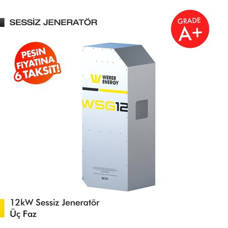 12kW LiFePO4 Lityum Demir Fosfat Tri Faz Sessiz Jeneratör 