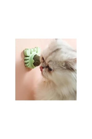 10 Adet Yengeç Kedi Otu Oyun Topu – Yapışkan Catnip Toy, Yenilebilir Kedi Oyuncağı, Kimyasal İçermez, Uzun Süre İlgi