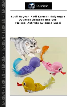 Evcil Hayvan Kedi Kurmalı Salyangoz Oyuncak Arkadaş Hediyesi Fiziksel Aktivite Avlanma Saati