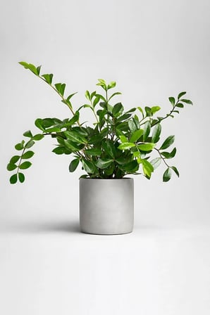 Dekoratif Beton Saksı V-116-TURUNCU