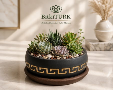 Dekoratif Beton Saksı ve Altlık Seti 18x9 cm Bonsai Saksısı Sukulent Saksısı İç Mekan Bitki Saksısı