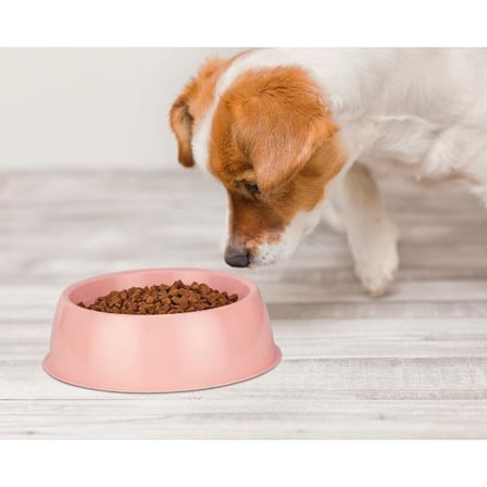 Besleme Kabin Kedi Ürünleri MamaKabı Kaliteli Dayanıklı Sağlam Plastik Küçük Yuvarlak Mama Kabı