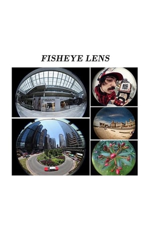 Balık Gözü Lens Fisheye Wide Makro Geniş Açılı Yakın Açılı Telefon Lensi Her Telefona Uyumlu