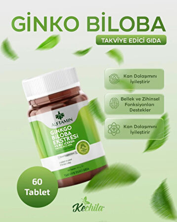 GİNKGO BİLOBA EKSTRESİ VE B12 İÇEREN TAKVİ EDİCİ GIDA 
