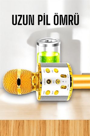 Kablosuz Bluetooth Karaoke Mikrofon USB ve AUX Girişli Yüksek Ses Kalitesi