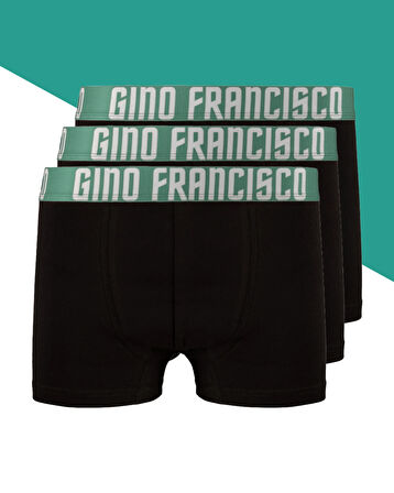 YEŞİL Premium Kutulu 3'lü Erkek Boxer