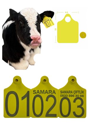 Büyükboy 25 Adet Sarı XL Büyükboy hayvan küpesi+Pens Ucu Hediye