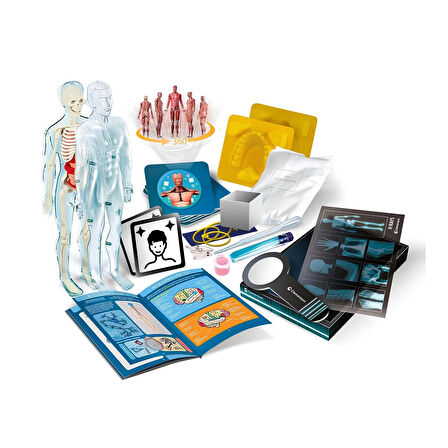 Bilim ve Oyun Süper Anatomi İnsan Vücudu Çok Parçalı Bilim Oyuncağı