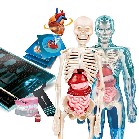 Bilim ve Oyun Süper Anatomi İnsan Vücudu Çok Parçalı Bilim Oyuncağı