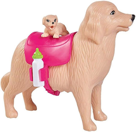 Evi Köpeği ve 3 Yavrusu
