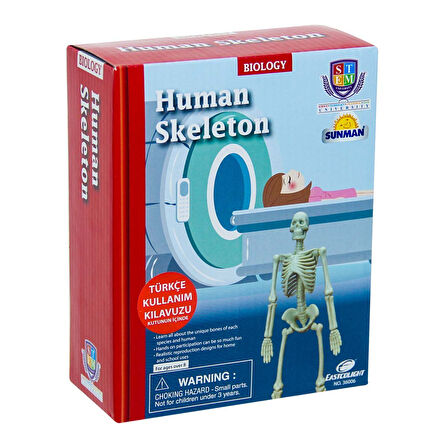 Bilim Seti : İnsan İskeleti